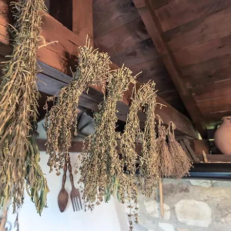 Viara * Pchelnik (Varna)