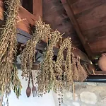 Viara * Pchelnik (Varna)