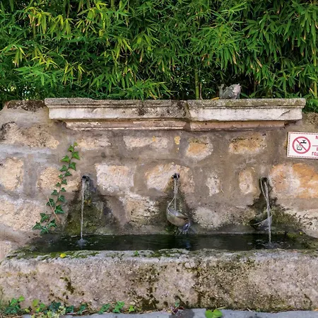 Viara * Pchelnik (Varna)