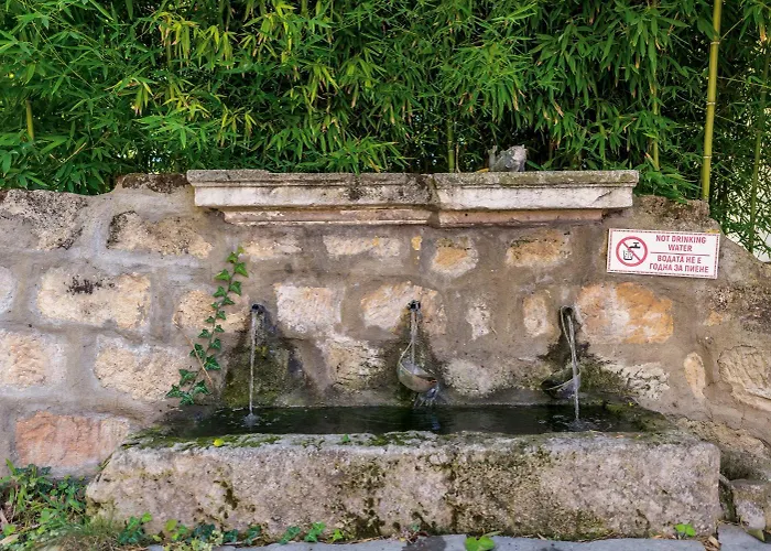 Viara * Pchelnik (Varna)