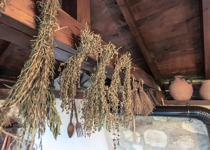 Viara * Pchelnik (Varna)